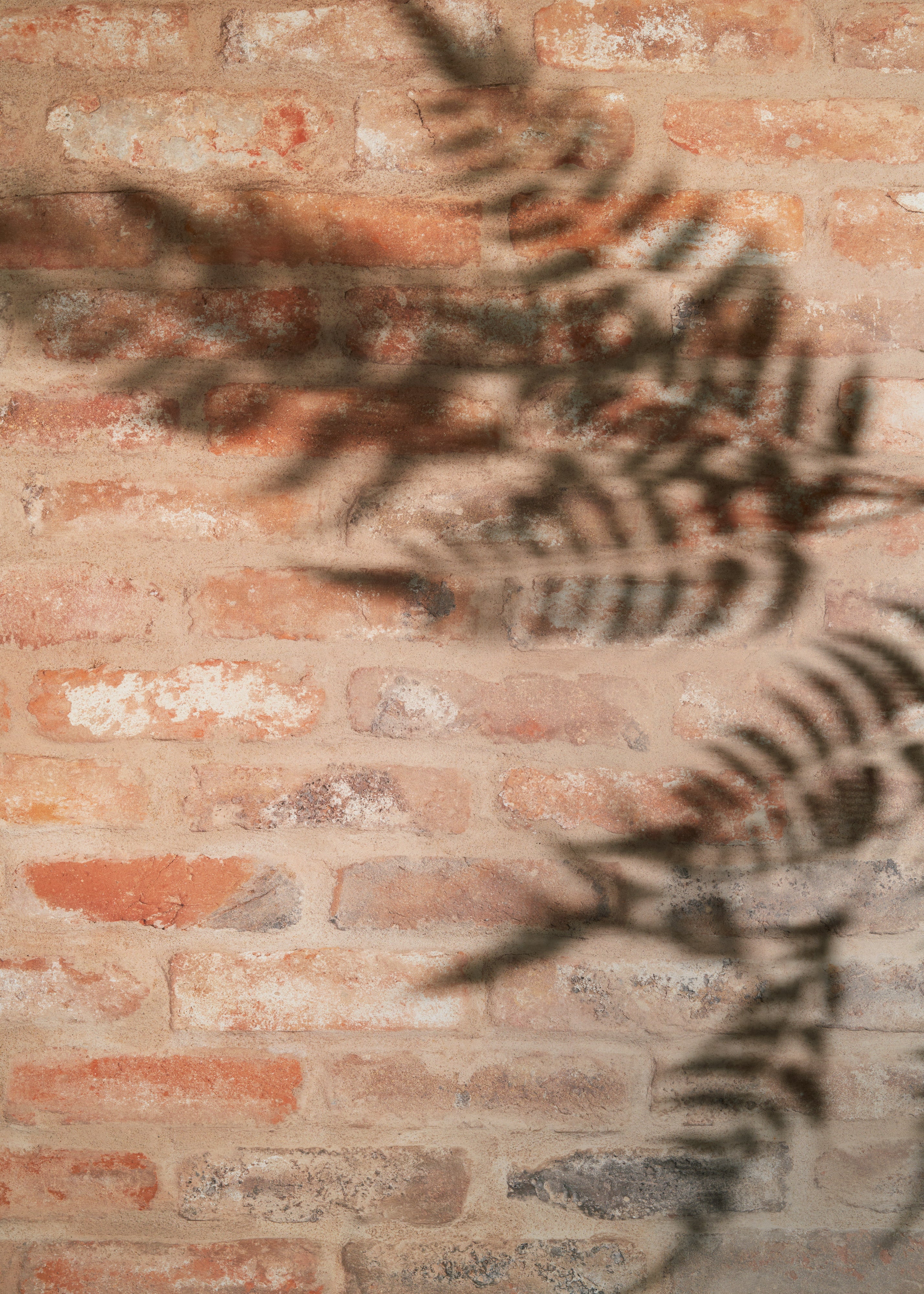 Red Brick Vinyl Backdrop for Product & Food Photography – Club Backdrops