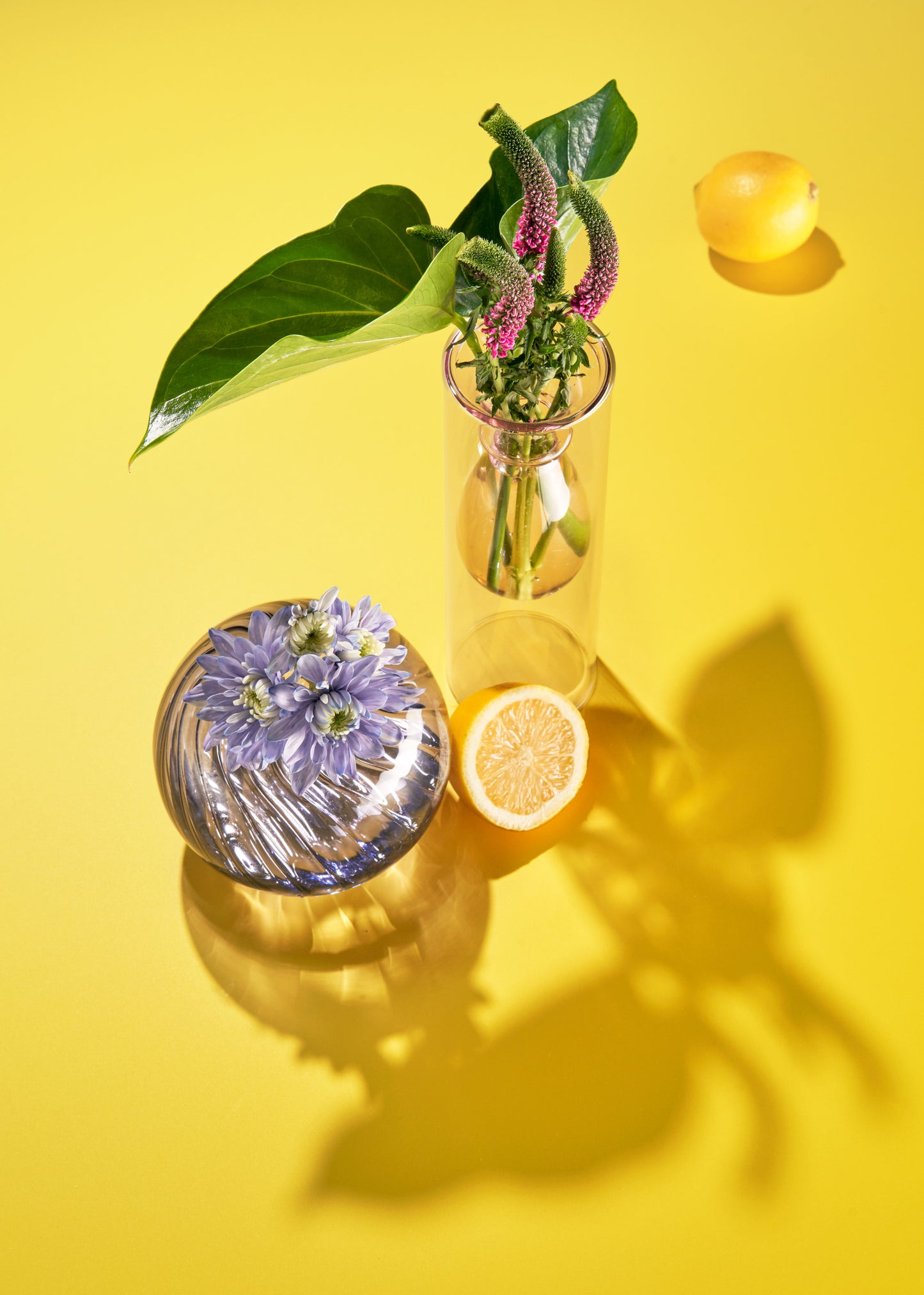 Lemonade Vinyl Photography Backdrop by Club Backdrops